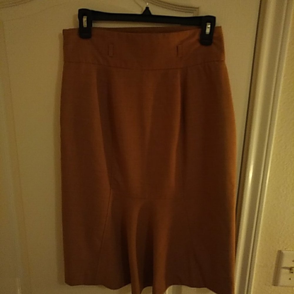 Worthington Skirt- Eye-catching design- straight with back flare
